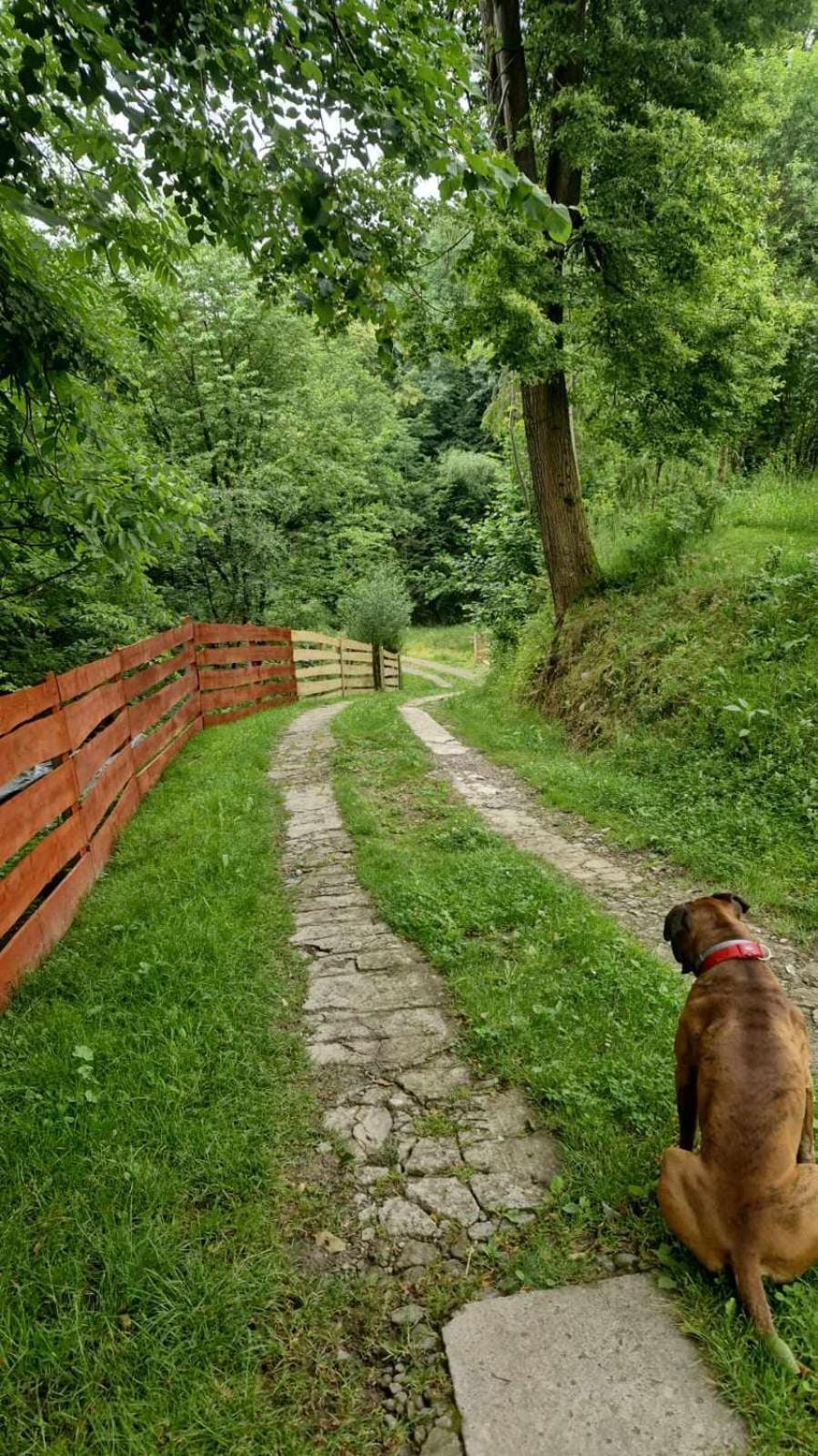 Agroturystyka U Babci Czchow Bagian luar foto