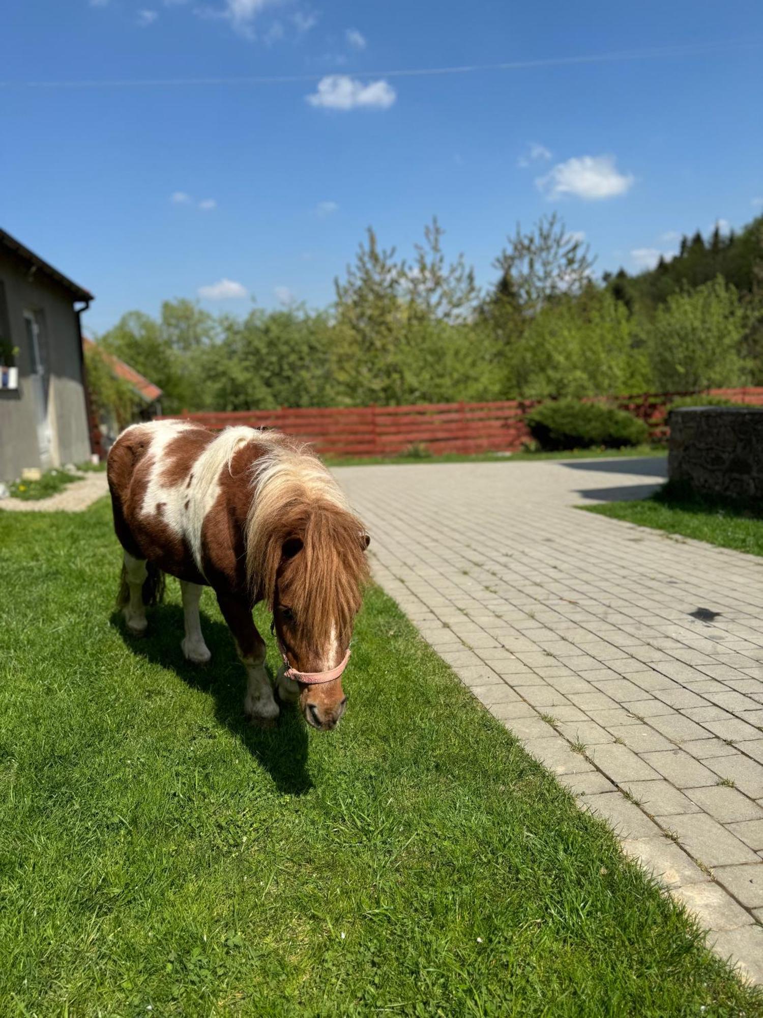 Agroturystyka U Babci Czchow Bagian luar foto